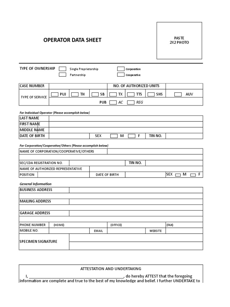 Operator Data Sheet: Type of Service | PDF | Cyberspace | Computing