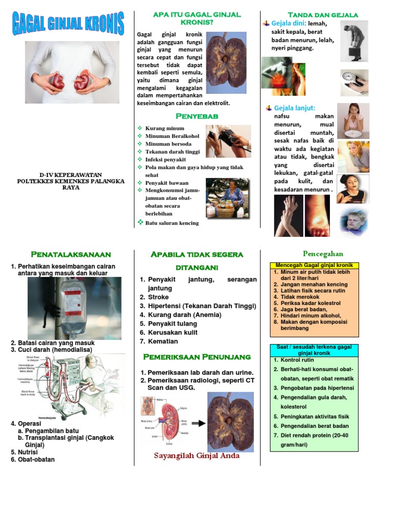 Leaflet GGK CKD PDF | PDF | Kesehatan Holistik