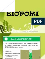 Biopori: Metode Resapan Air Sederhana untuk Mengatasi Genangan