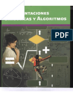 Representaciones Simbolicas y Algoritmos PDF
