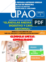 Glándulas Anexas Al Tubo Digestivo y Cavidad Peritoneal