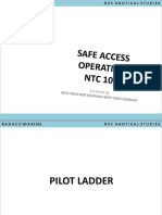 T2 Pilot Ladder