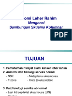 Materi 2 - Anatomi, Histologi, Fisiologi Serviks Uteri - DR - Dr.laila, SP - OG (K)