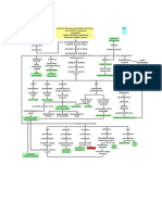 PATHWAY CML.docx