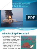 Deepwater Horizon Oil Spill