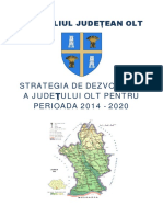 Strategia de dezvoltare jud OLT.pdf