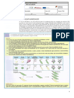 Ficha de trabalho 12º PTAS.docx