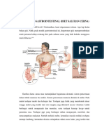 Tentir Gizi Gastrointestinal