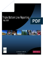 Triple - Bottom - Line - Reporting - L - Musikanski - 2 PDF