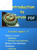 Viruses1 2.ppt