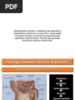 Reprodução Humana Exercicios
