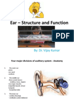 Ear Structure Function