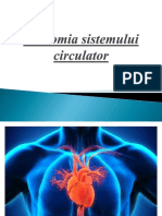 Anatomia Sistemului Circulator