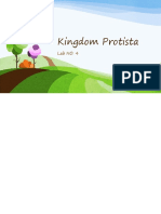Kingdom Protista Lab 4