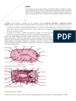 La Célula. Estructura y Funcion.docx