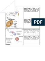 Sumber: Chiodini, P. L., Moody, A. H., And: Helminthology and Parasitology. Fourth