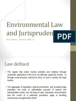 Environmental Law and Jurisprudence