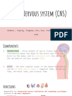 Central Nervous System (CNS) : Numhom, Unging, Tangkwa, Pon, Kao, Tonkao, Wawa, Tai 1206