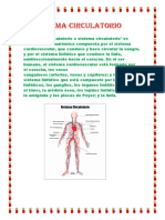 Sistema circulatorio.docx