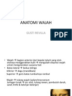 KP 3.2 Anatomi Wajah