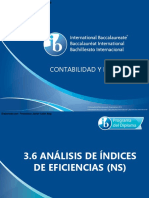 3_6_An-lisis_de_-ndices_de_eficiencia__NS_-1.pdf