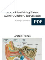 Trauma Ureter