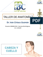 Anatomia I.pdf