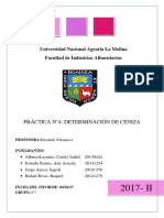 Analisis Lab 4 Cenizas TERMINADO