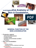 Lec2B_Skin and Exoskeleton_Summer2014.pdf