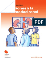 Prevencion de Enfermedad Renal PDF