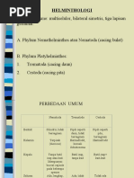 Download NEMATODA USUS OKT 2007 by Humairah Fatimi SN40397122 doc pdf
