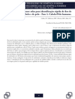 Tricologia Forense Atlas PDF
