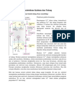 Tentir Biokim-1.docx