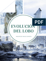 Evolución Del Lobo (Canis)