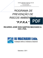 RJ Machado 2011 PDF