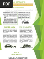 Fases Del Atropellamiento Típico o Completo | PDF | Cinturón de