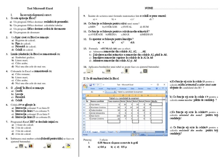 Test Teorie Excel | PDF