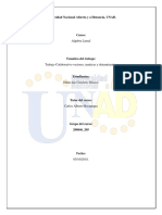 208046_205_Tarea1_Trabajo_Grupal.docx