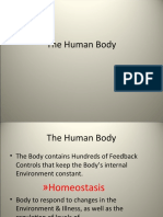 Body Physiology