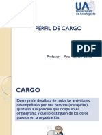 Perfil y Análisis de Cargo