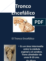 03 Tronco Encefalico