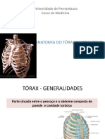 Aula 1 - Anatomia Do Tórax e Mediastino - Corrigida
