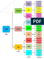 Mapa Conceptual