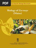 Biology of Maize PDF