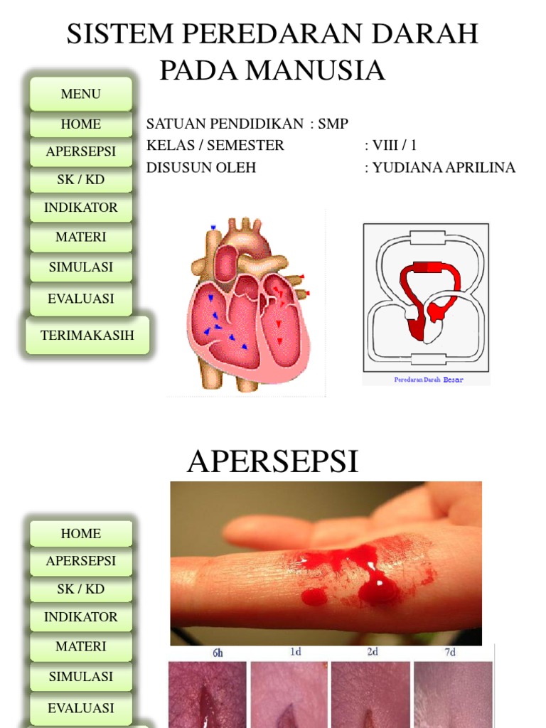 PPT_SISTEM_PEREDARAN_DARAH_PADA_MANUSIA.pptx