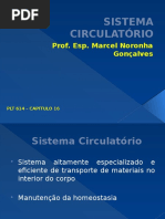 Sistema Circulatório1