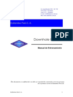Tutorial Downhole Ejercicios PDF