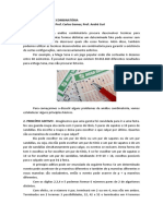 Anlise_Combinatria.pdf