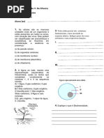 Atividade ciências 7 ano ...........