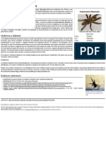 Kukulcania Hibernalis PDF